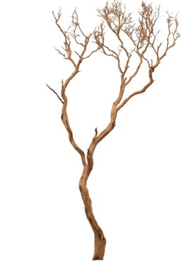 Decowood Manzanita sandblasted