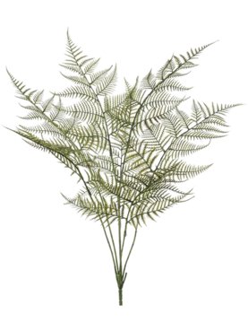 Fern Garden Bush (UV)