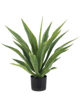 Agave In Pot (UV)
