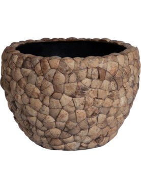 Bosco Bowl Large Coconut