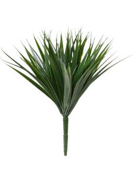 Bamboo (UV)