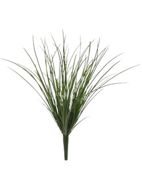Grass (UV)