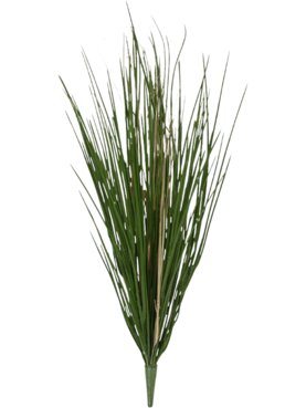 Grass (UV)