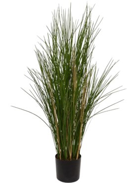 Grass (UV)