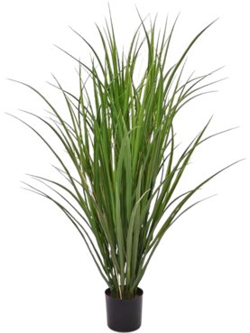 Reed Grass Deluxe (UV)