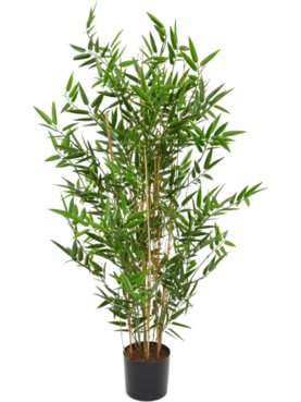 Bamboo Bush (UV)