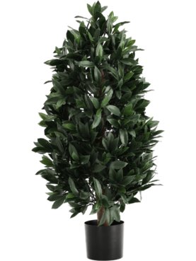 Laurel Pyramid (UV)